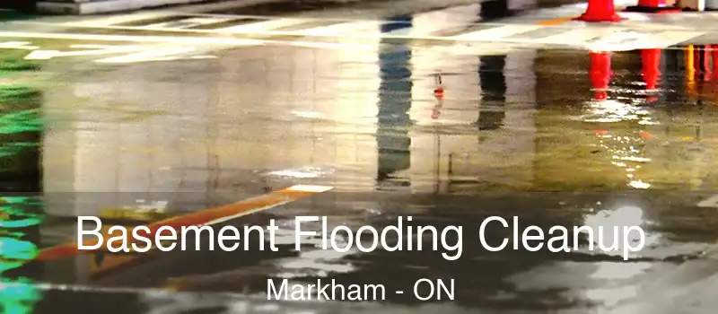  Basement Flooding Cleanup Markham - ON