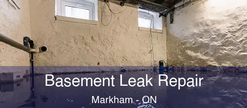  Basement Leak Repair Markham - ON
