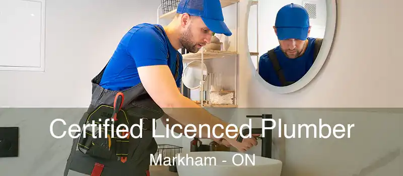  Certified Licenced Plumber Markham - ON
