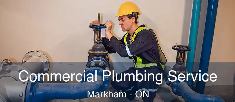  Commercial Plumbing Service Markham - ON
