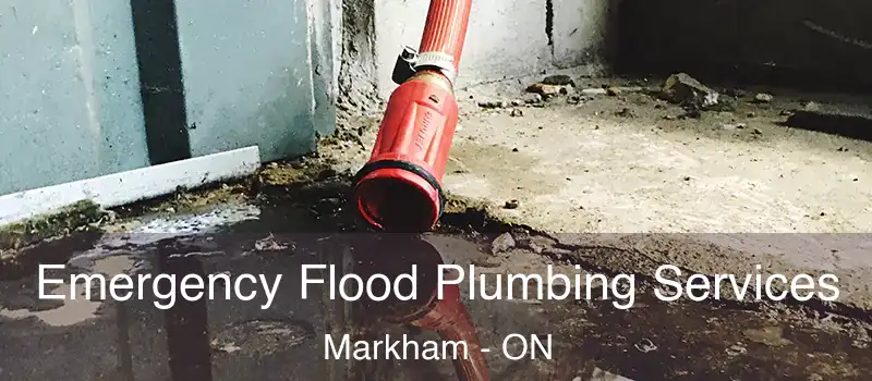  Emergency Flood Plumbing Services Markham - ON