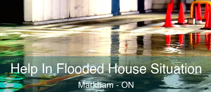  Help In Flooded House Situation Markham - ON