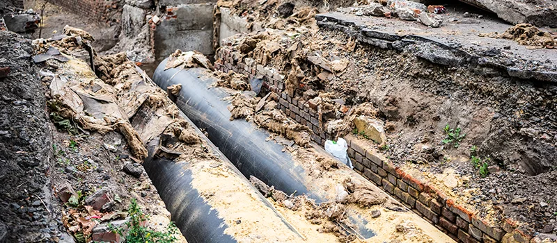 Commercial Sewer Tree Roots Damage Solutions in Markham, ON