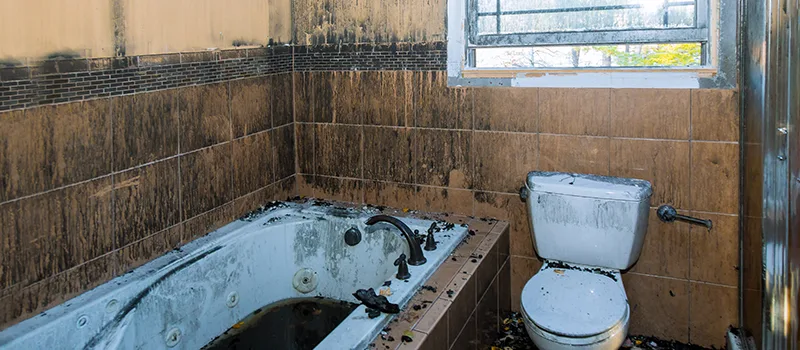 Residential Water Damage Restoration in Markham, ON