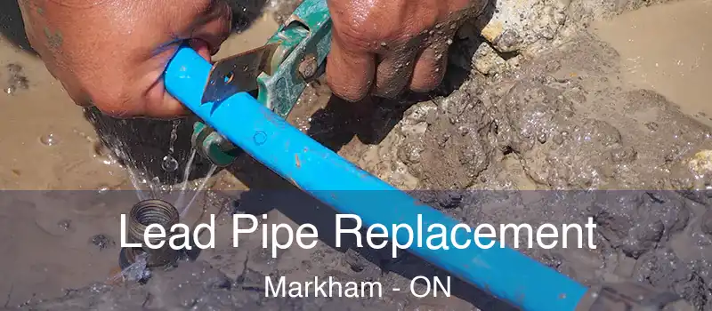  Lead Pipe Replacement Markham - ON