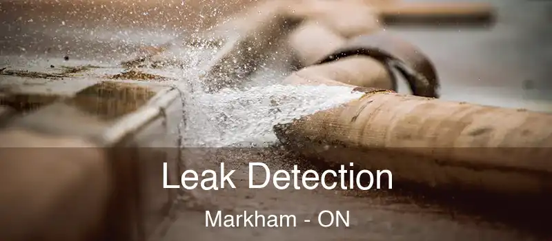  Leak Detection Markham - ON