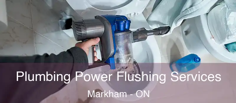  Plumbing Power Flushing Services Markham - ON