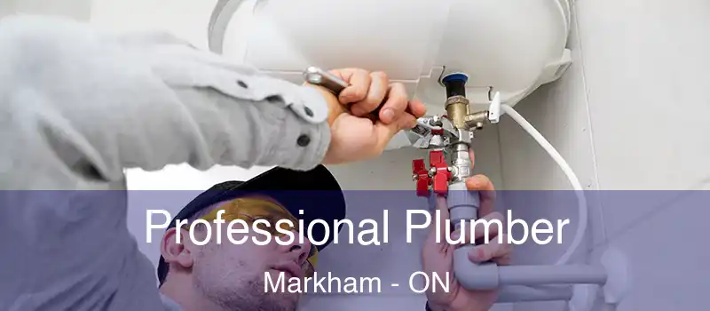  Professional Plumber Markham - ON