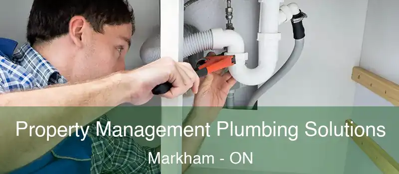  Property Management Plumbing Solutions Markham - ON