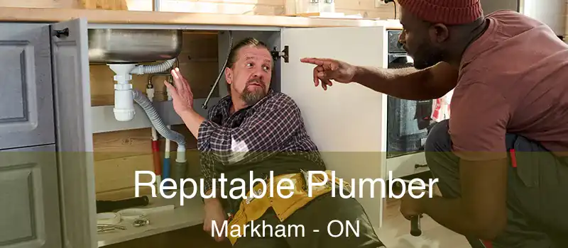  Reputable Plumber Markham - ON
