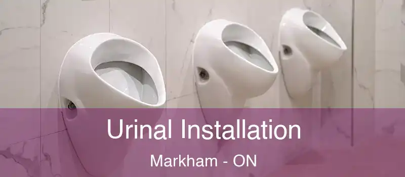  Urinal Installation Markham - ON