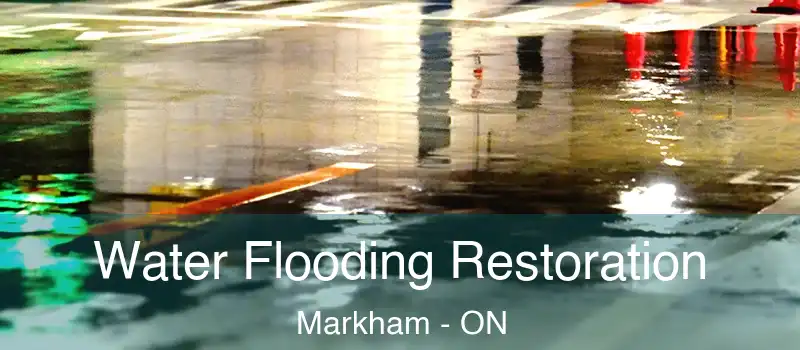  Water Flooding Restoration Markham - ON