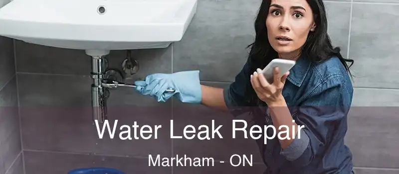  Water Leak Repair Markham - ON