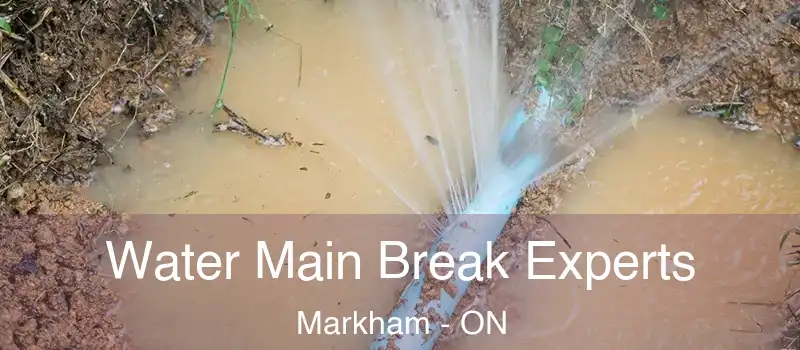  Water Main Break Experts Markham - ON