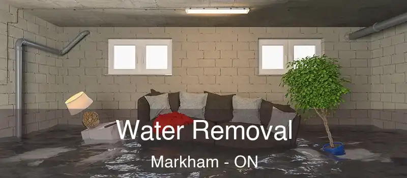  Water Removal Markham - ON