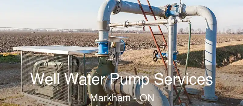  Well Water Pump Services Markham - ON